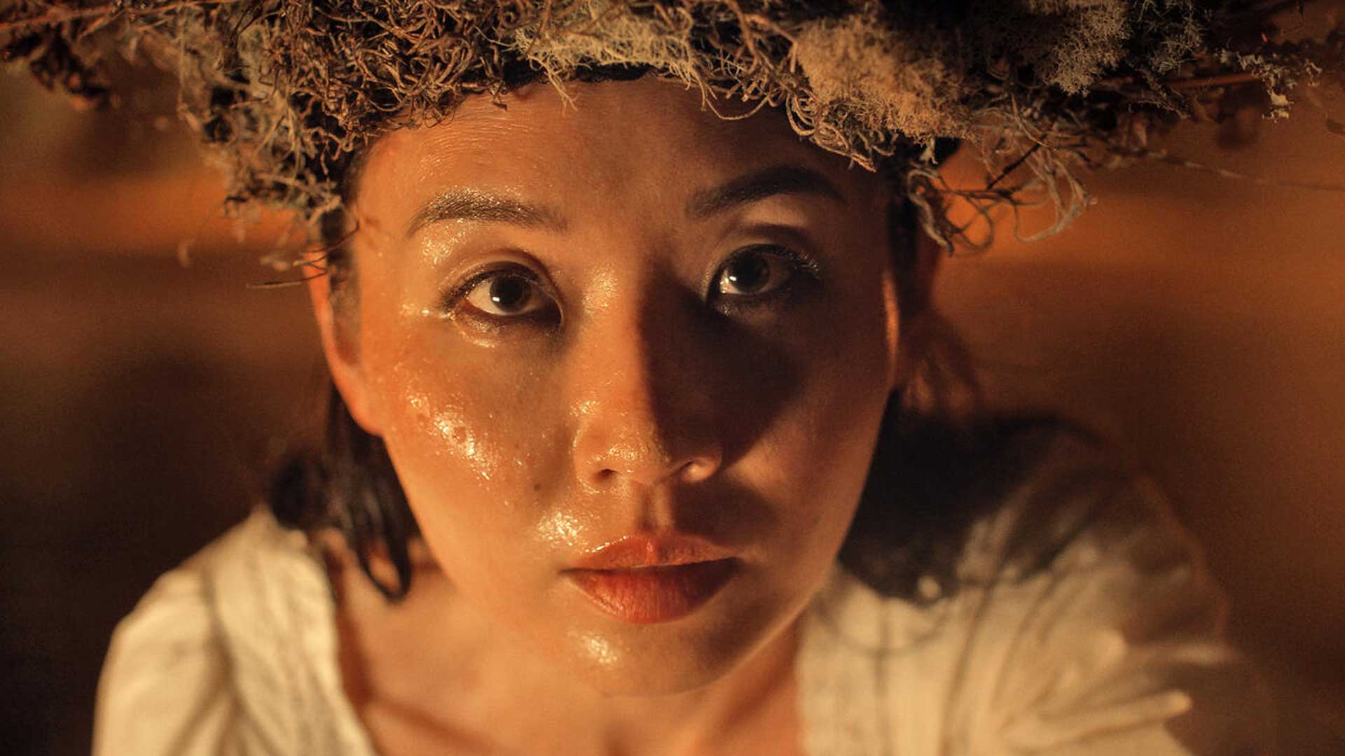 Alma and the Wolf Li Jun Li