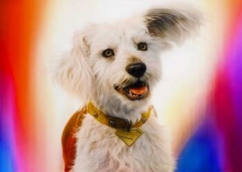 Krypto Animated Series James Gunn