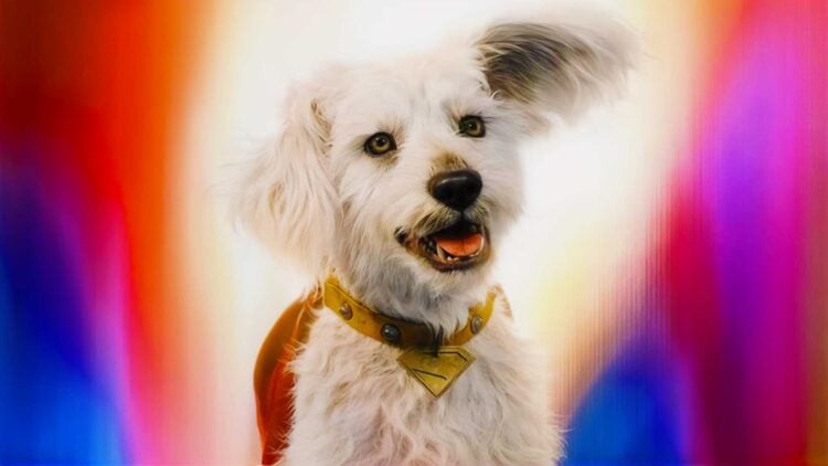 Krypto Animated Series James Gunn