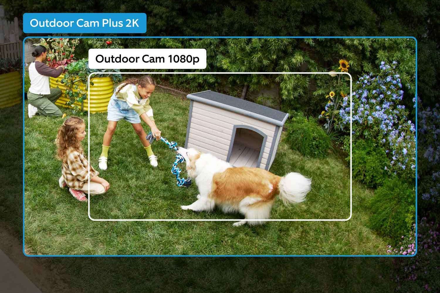 Expand Your Home Security Visibility with the Ring Outdoor Cam Plus