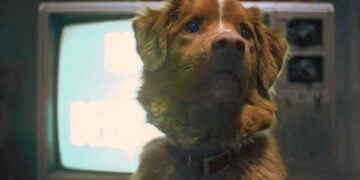 does-the-dog-die-in-good-boy-trends-on-google