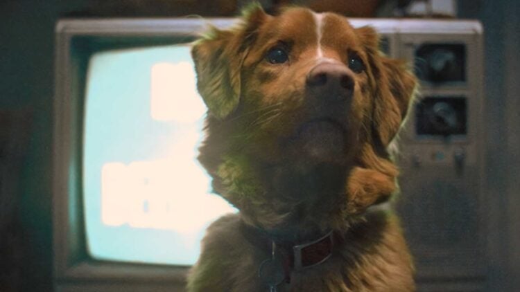 does-the-dog-die-in-good-boy-trends-on-google