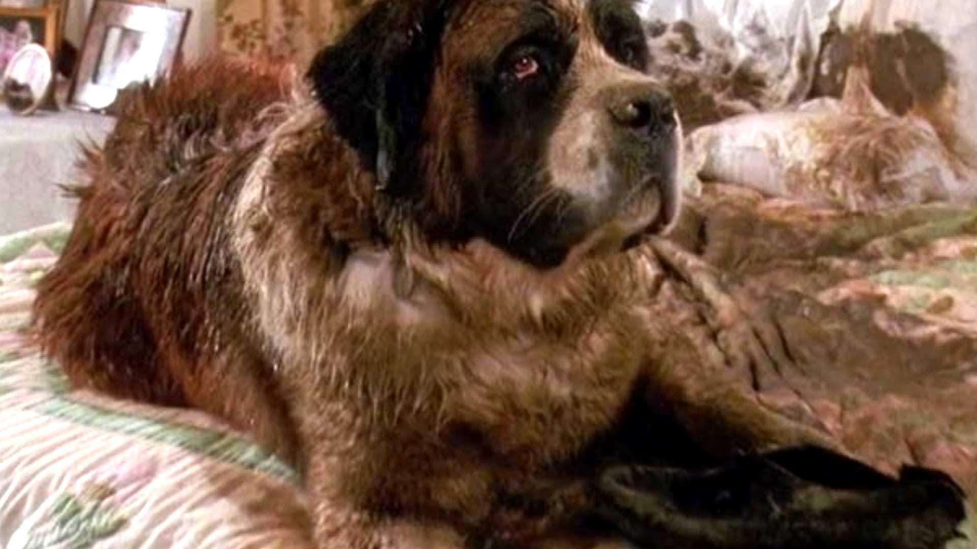 Beethoven 1992