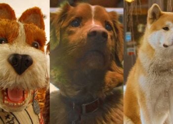 Best Dog Movies