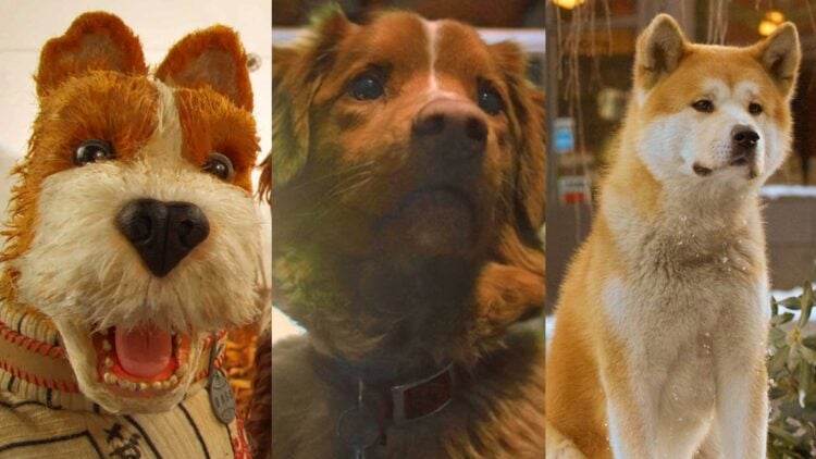 Best Dog Movies