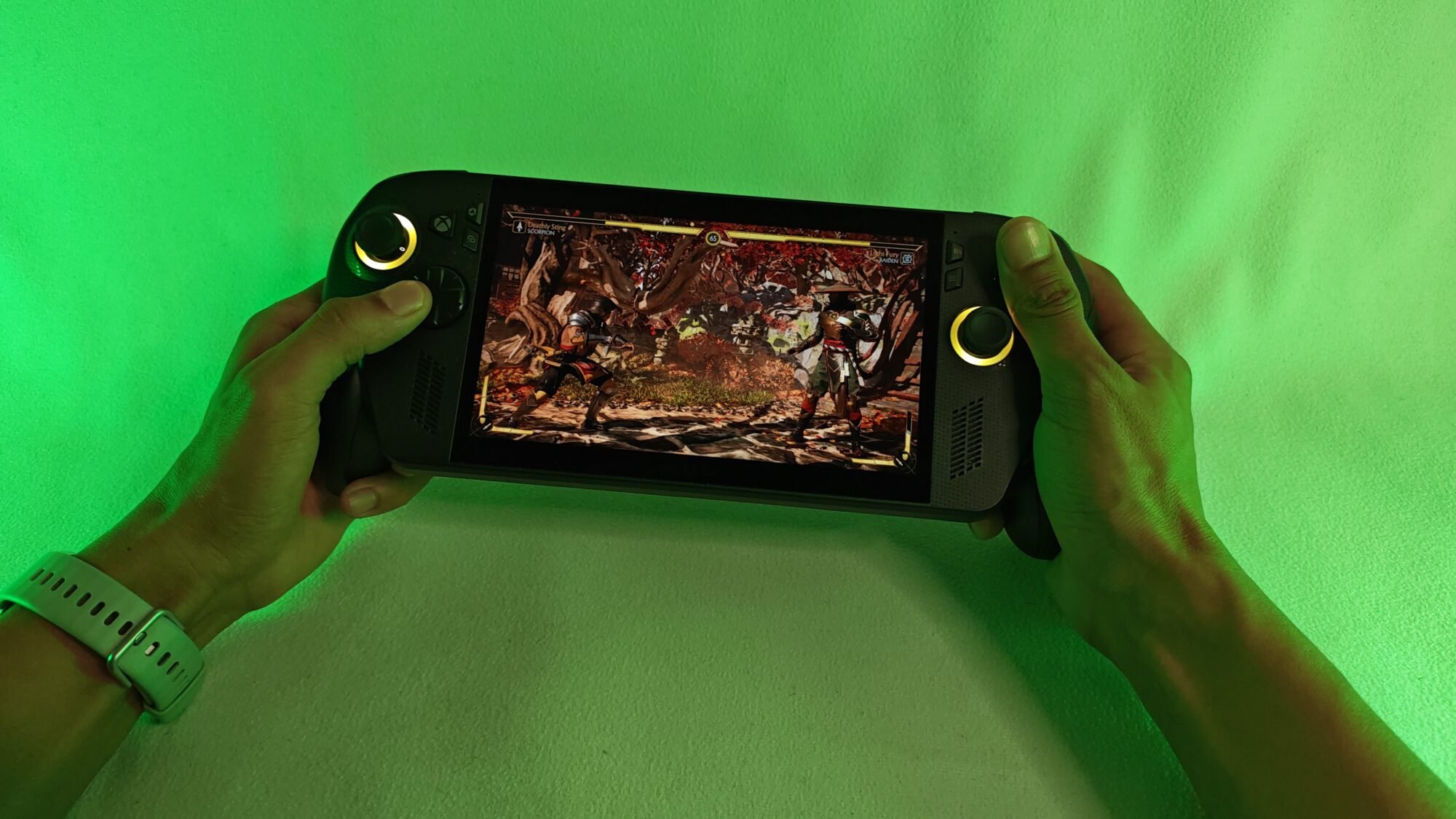 Xbox Ally X Review