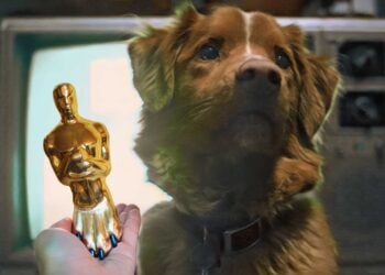 Indy from Good Boy Is Gunning for an Oscar