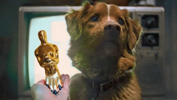 Indy from Good Boy Is Gunning for an Oscar