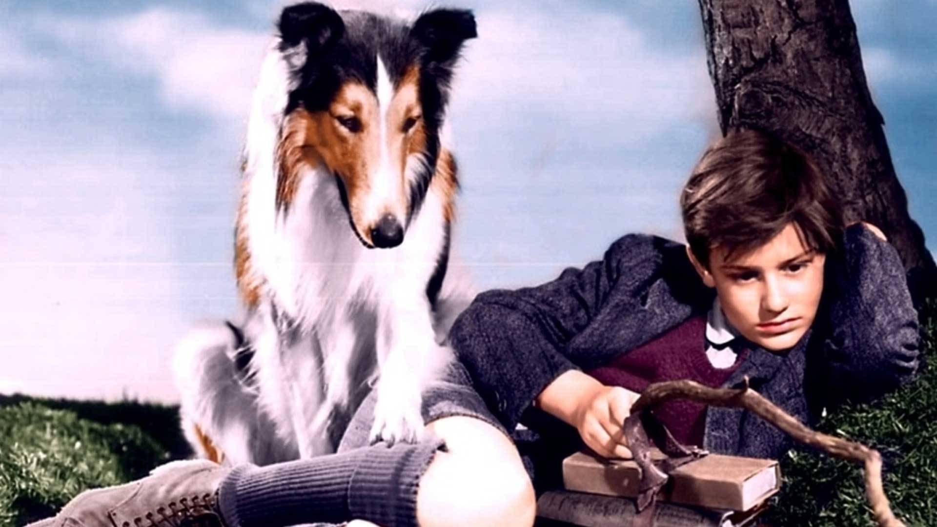 Lassie Come Home 1943