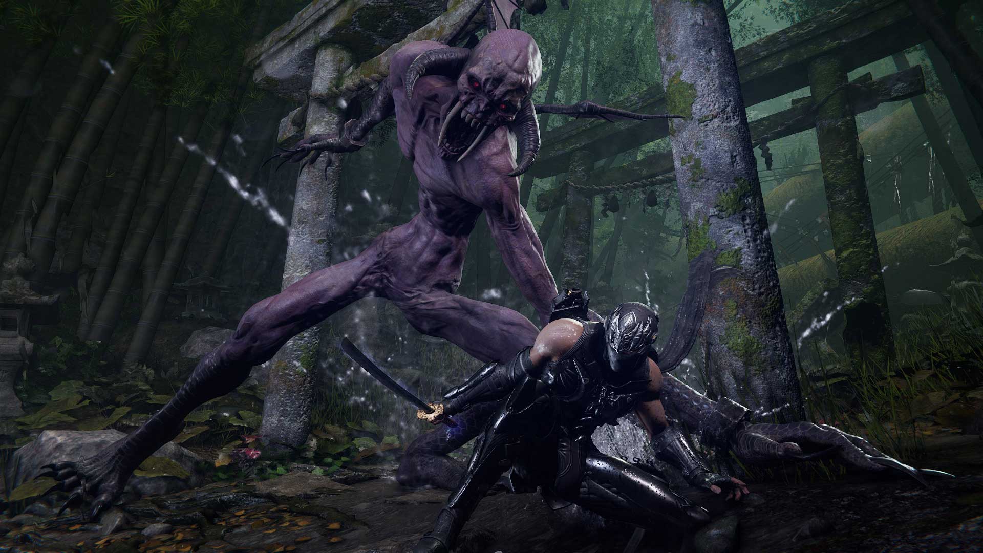 Team Ninja Ninja Gaiden 4
