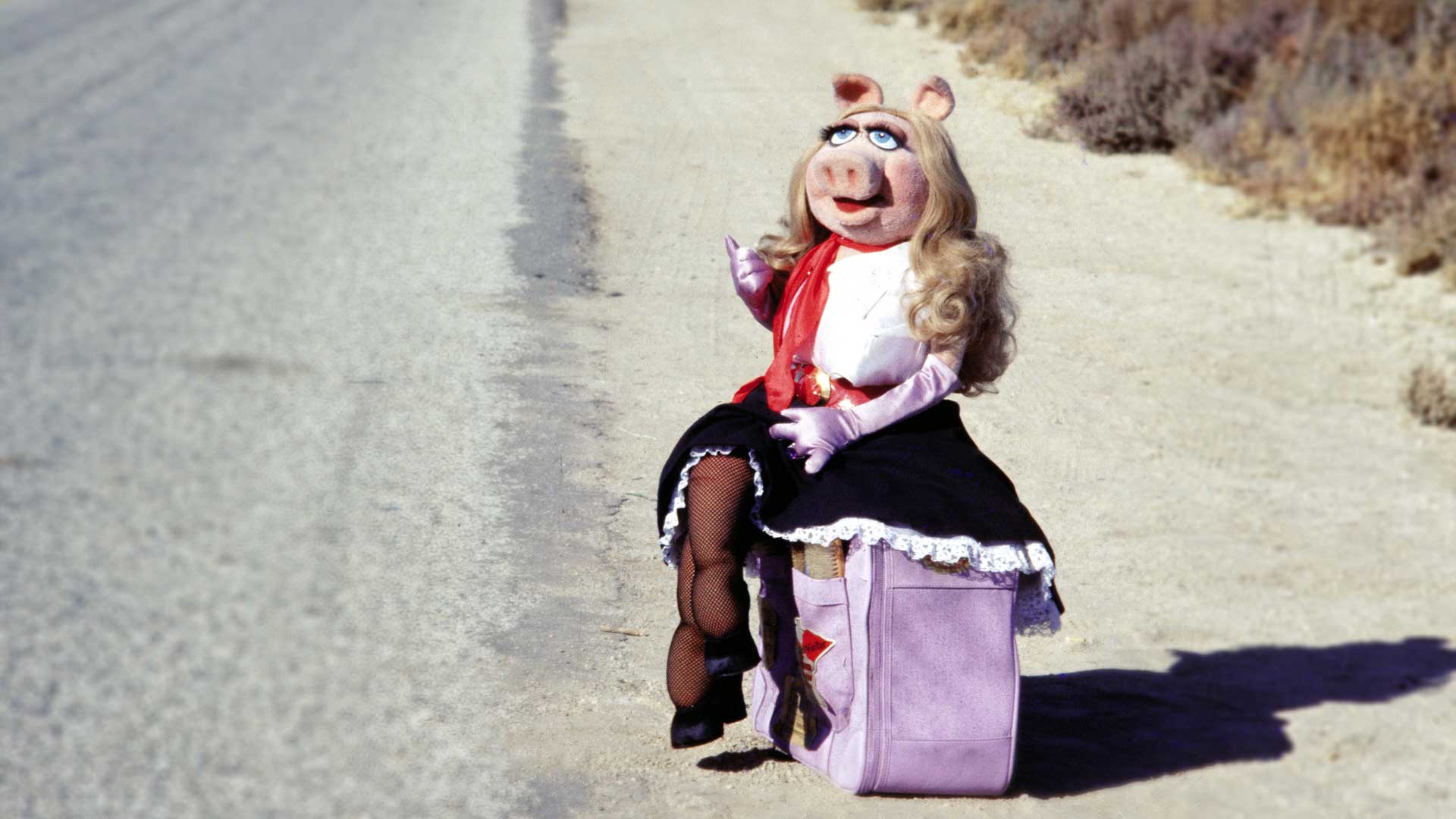 miss piggy movie