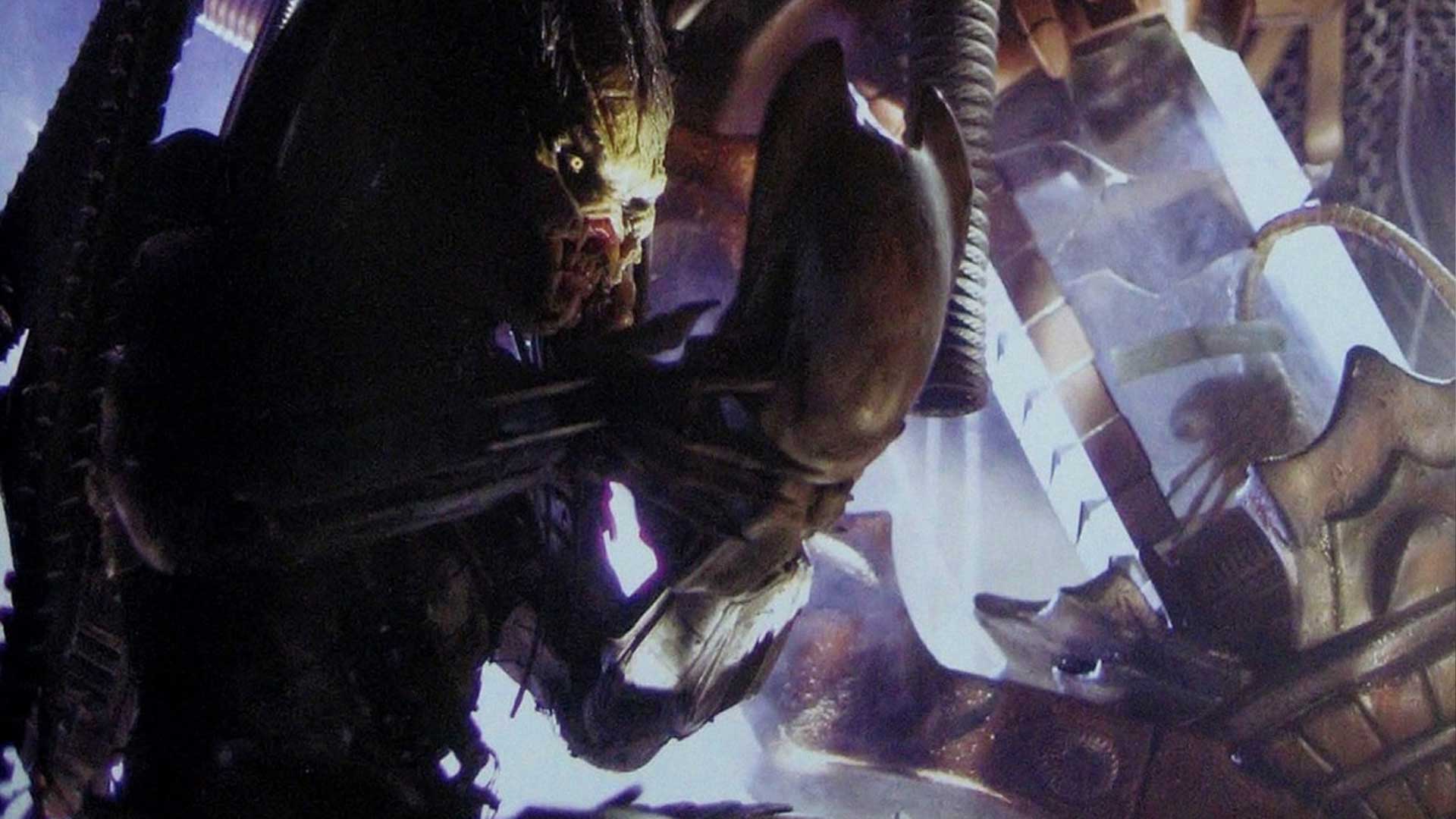 wolf-predator-yautja