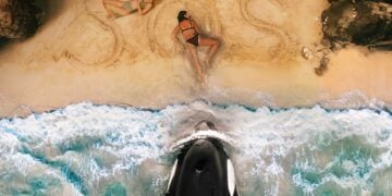 Killer Whale Movie