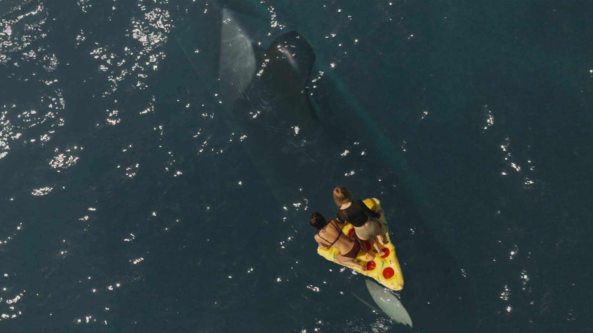 Killer Whale Movie Horror 2026