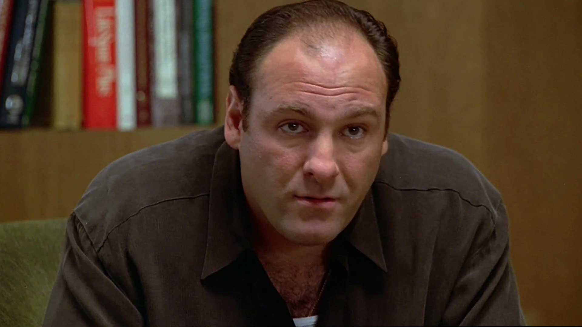 Tony Soprano The Sopranos
