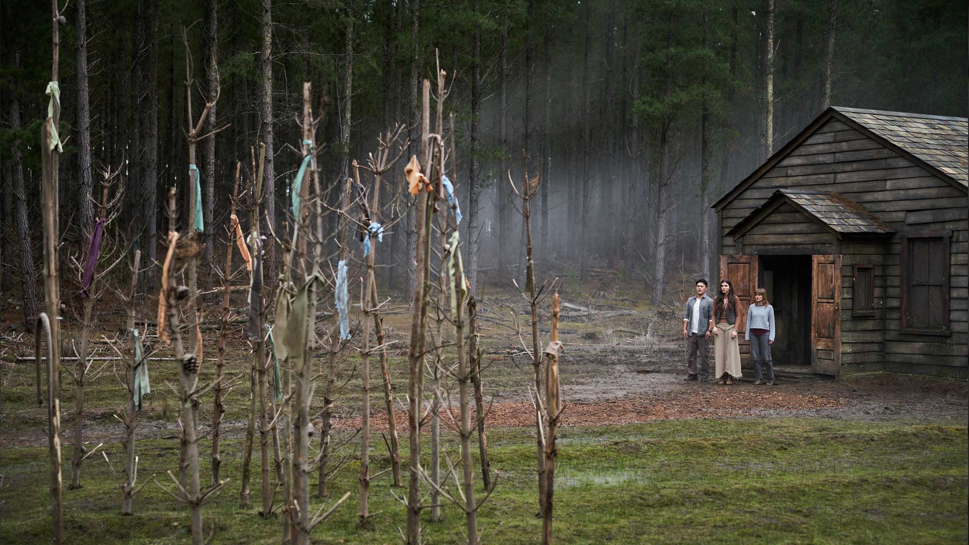 Diabolic Movie 2026 Elizabeth Cullen