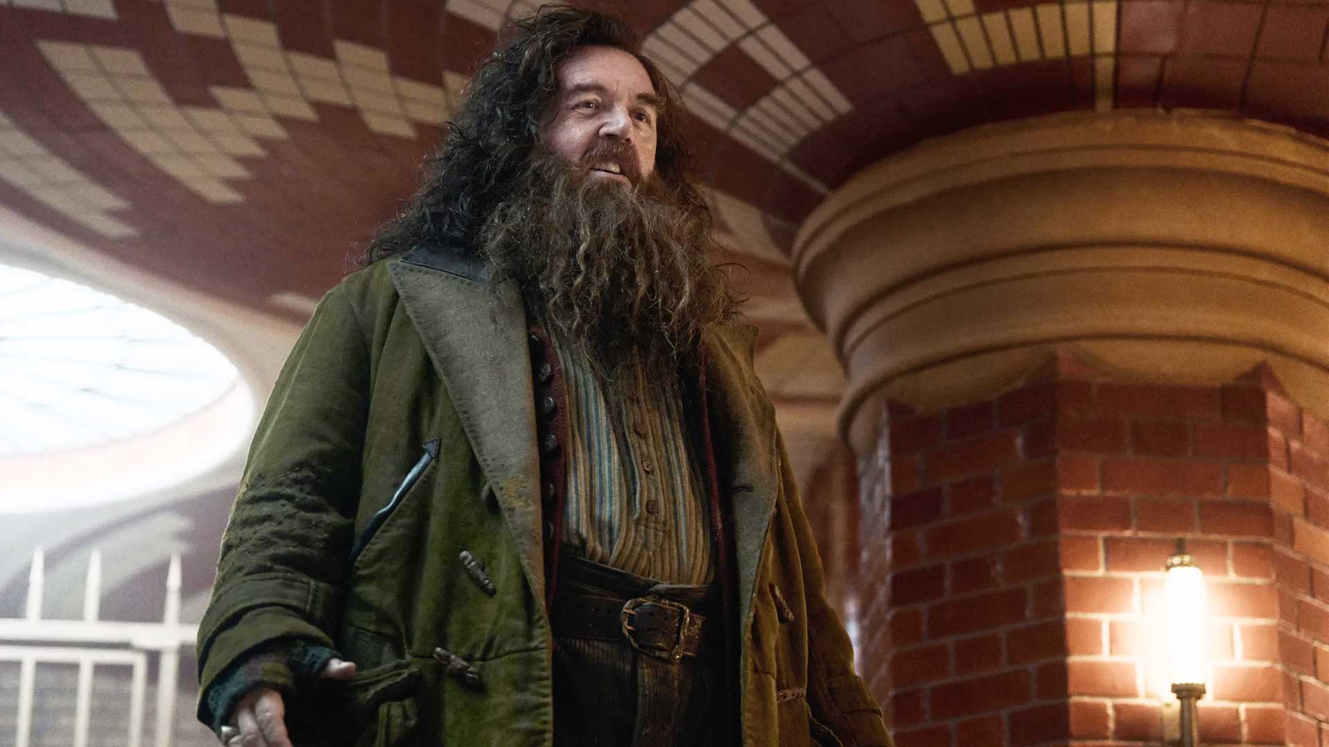 Nick Frost Hagrid Harry Potter Series