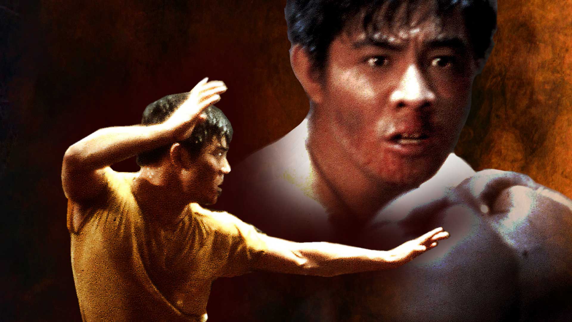 JET LI BORN TO DEFENCE