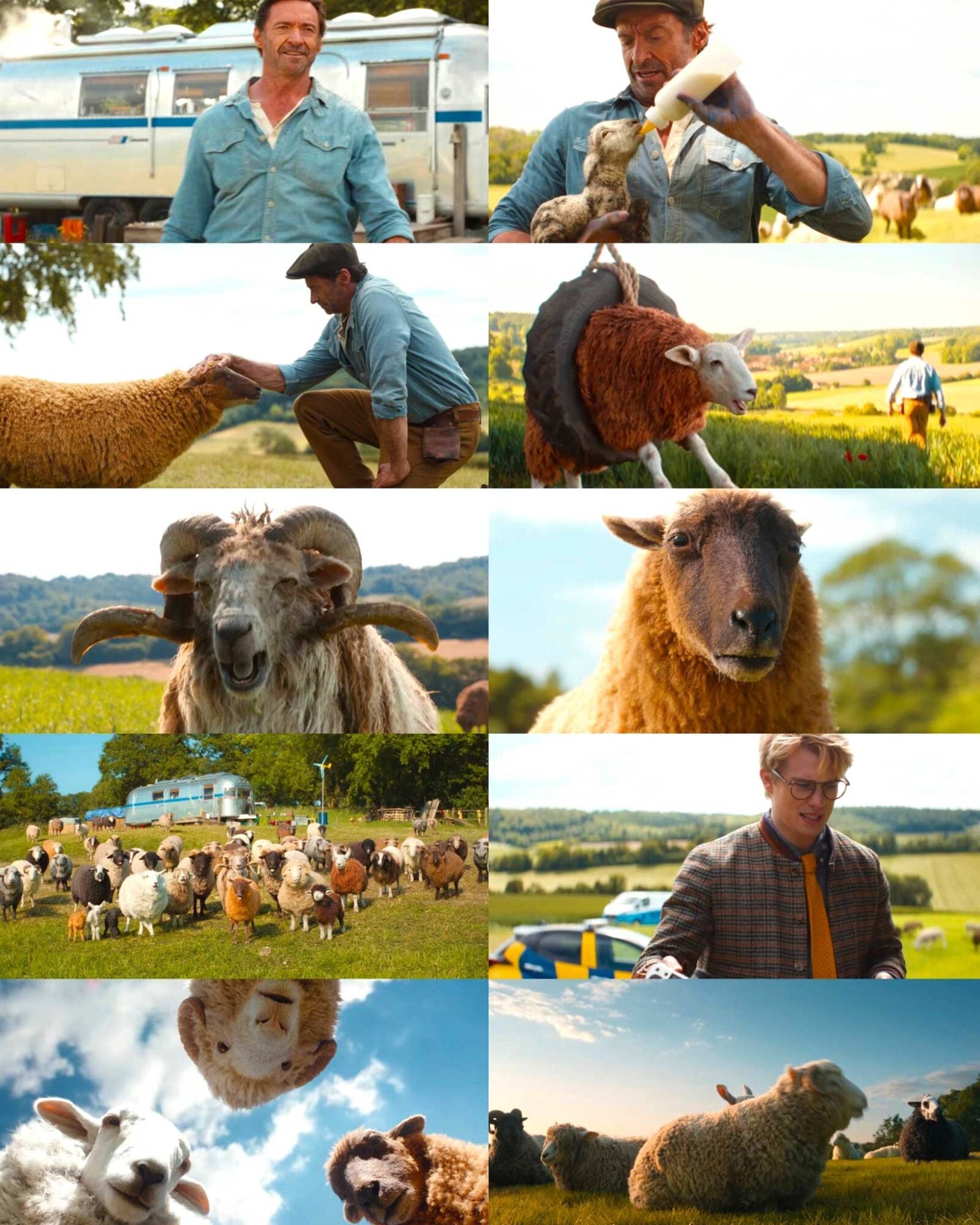 Kyle Balda THE SHEEP DETECTIVES