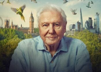 david attenborough bbc