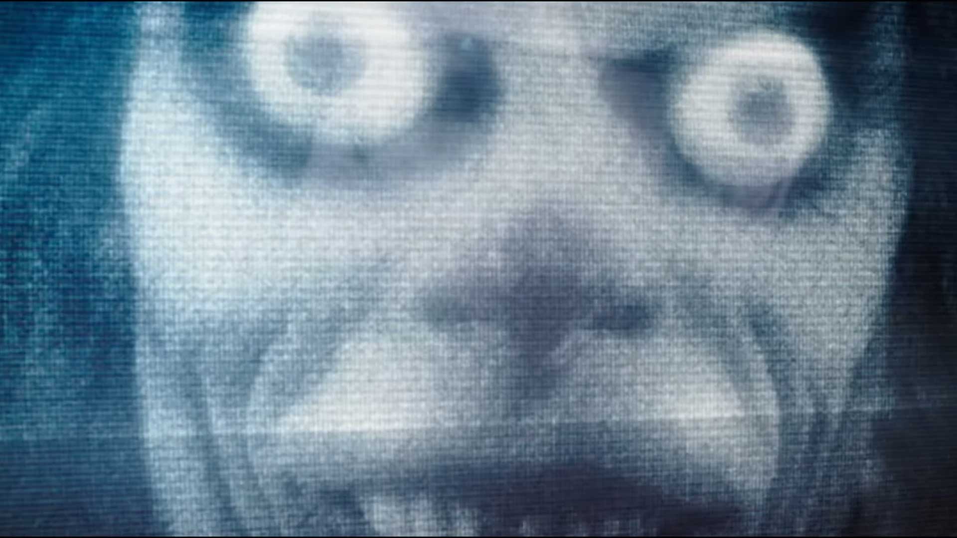 hokum horror Damian McCarthy