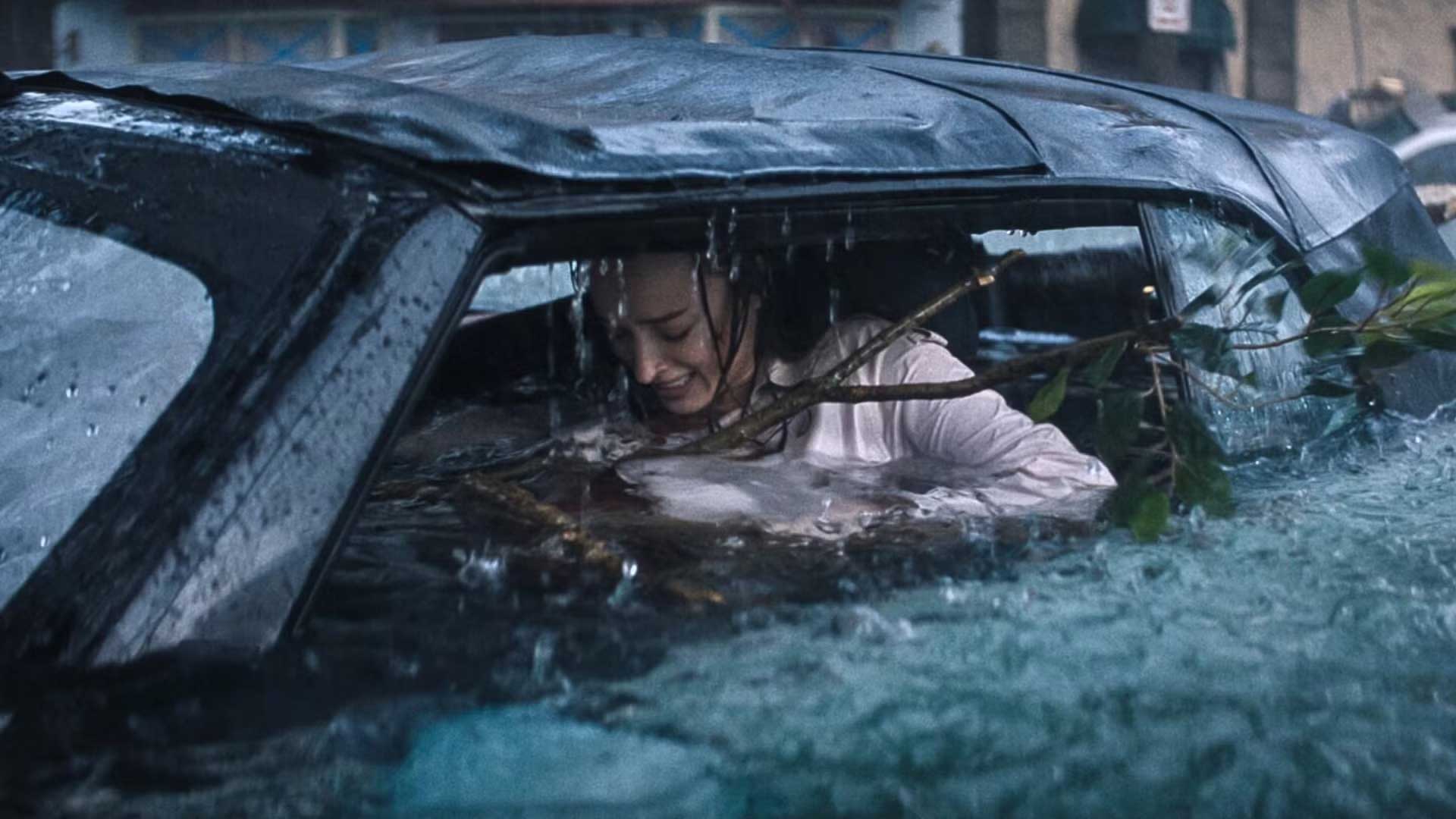 thrash Netflix shark movie