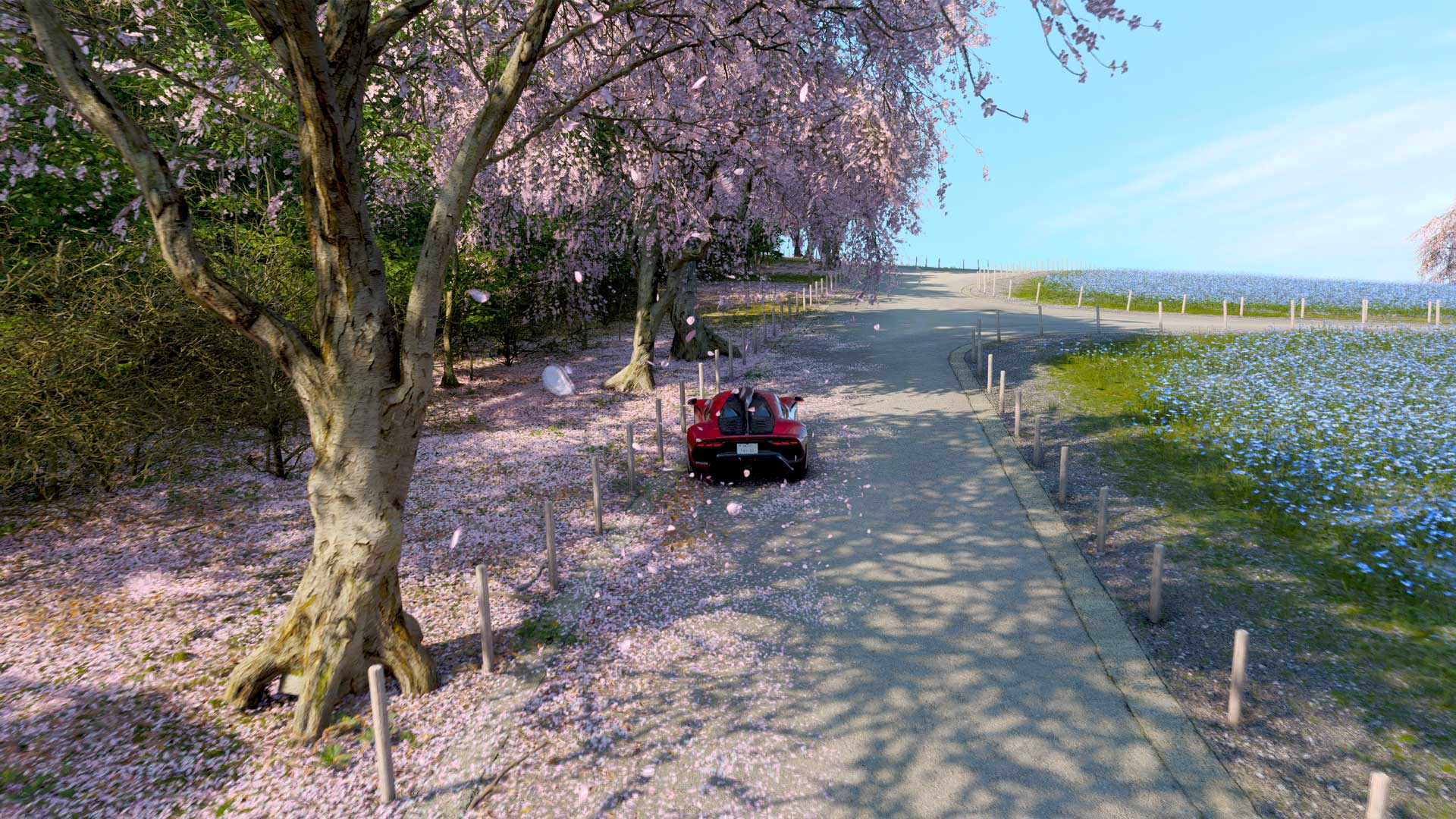 Forza Horizon 6 Review