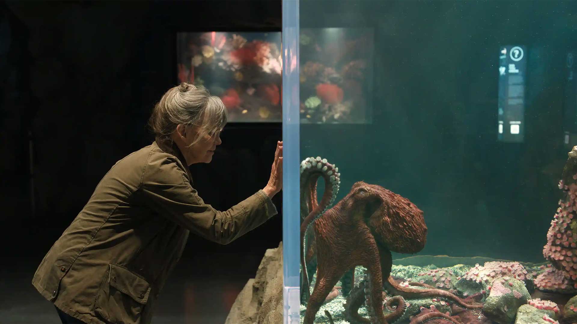 remarkably bright creatures sally field movie netflix