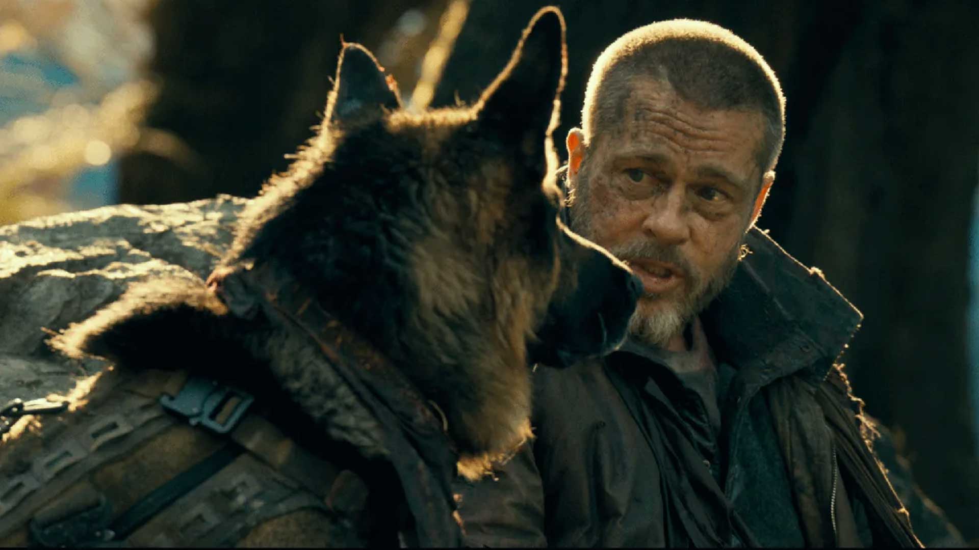 Brad Pitt Heart of the Beast Odin The Dog