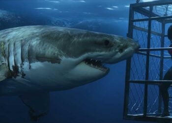 Chum Movie Review