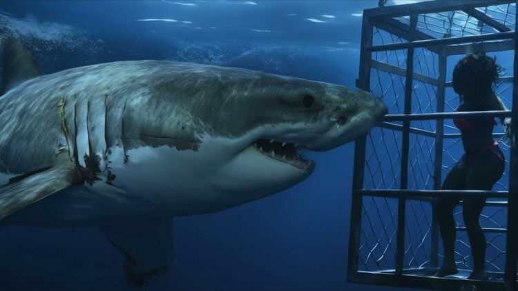 Chum Movie Review