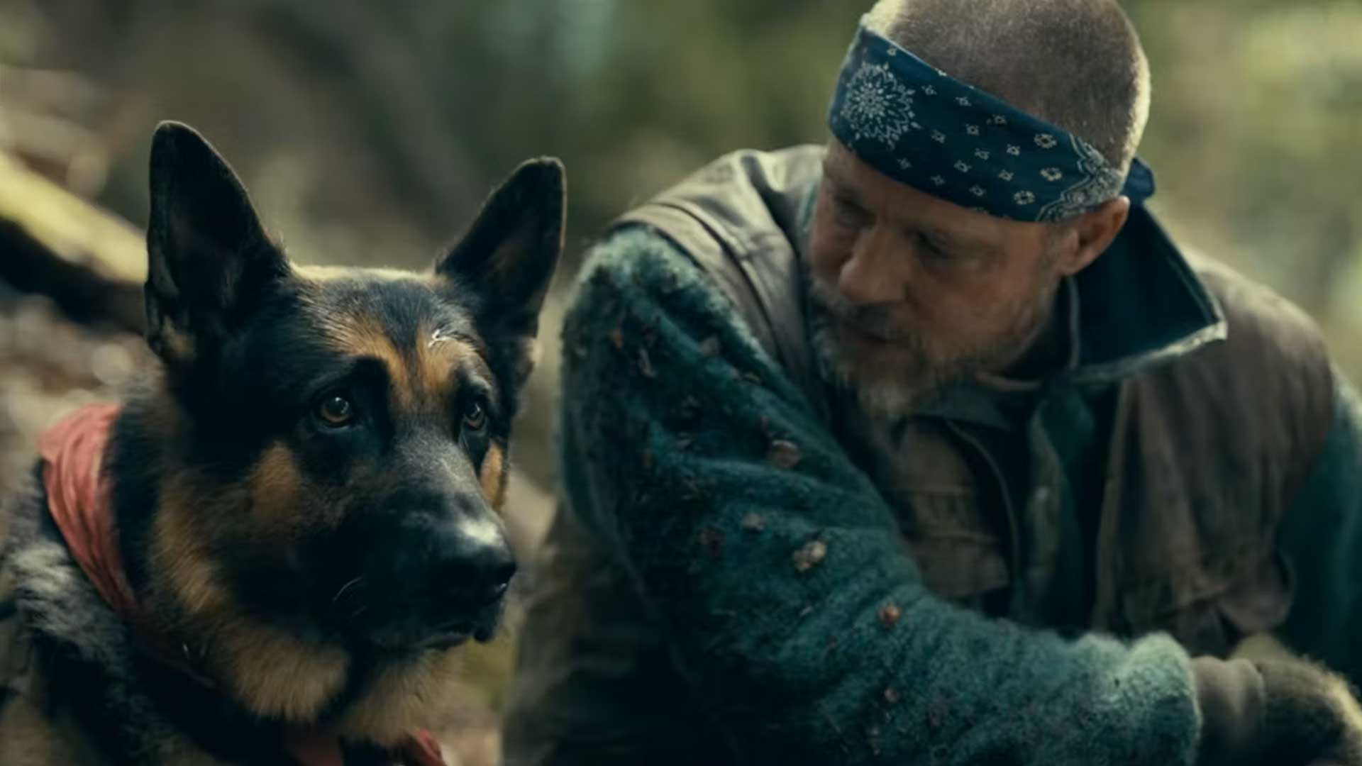 Heart of the Beast Brad Pitt Odin The Dog