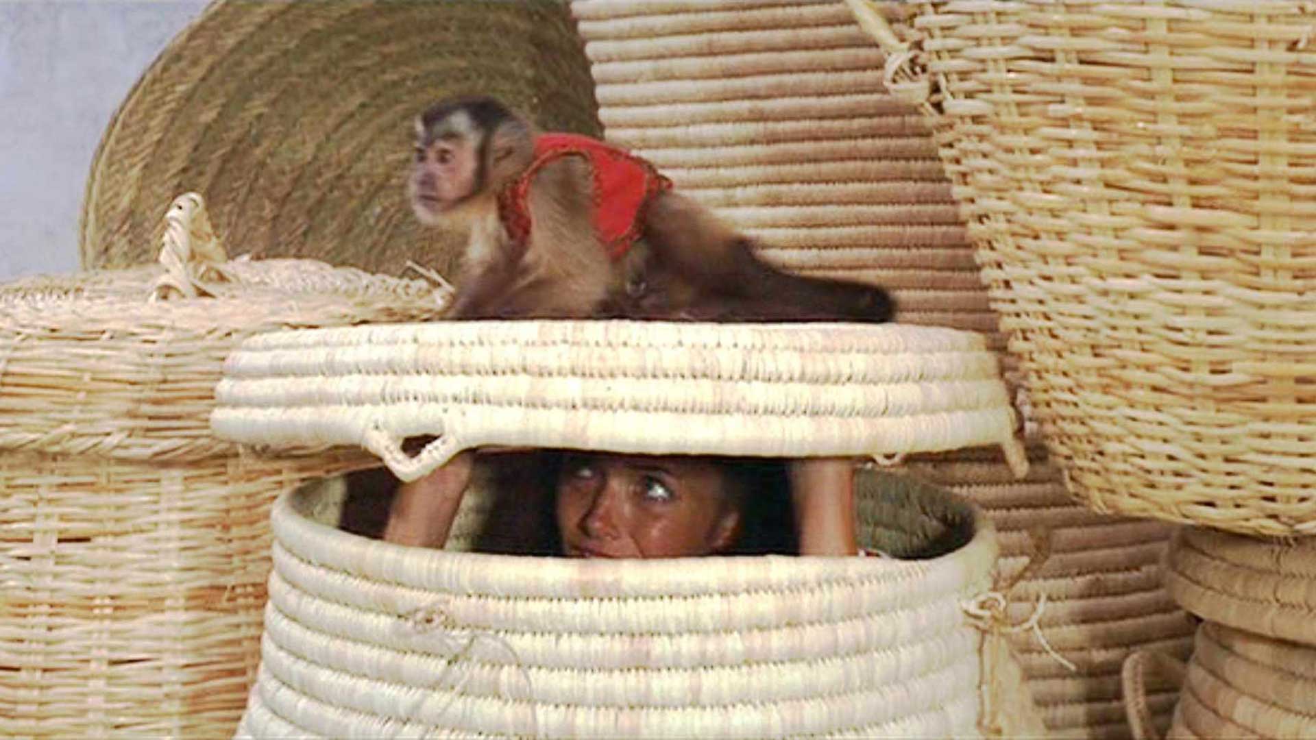 Raiders of the Lost Ark monkey