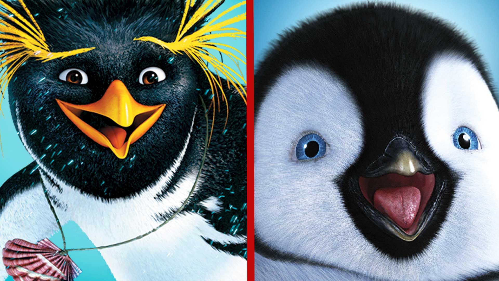 Surf’s Up Happy Feet