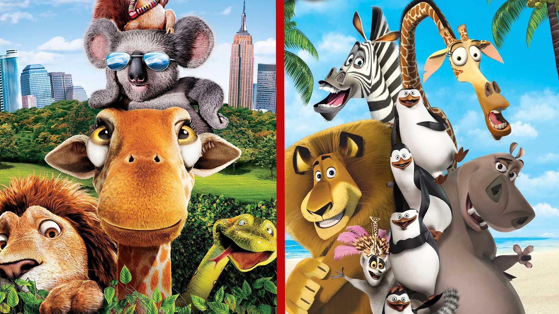 the wild madagascar
