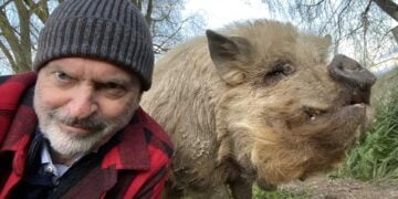 Sam Neill Two Paddocks A Man and his Pig