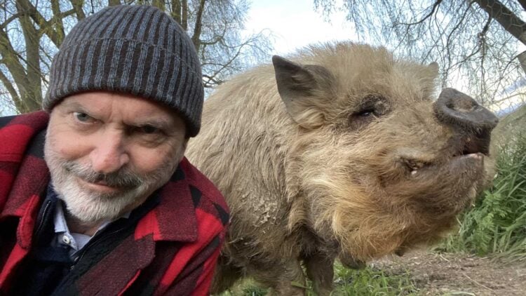 Sam Neill Two Paddocks A Man and his Pig