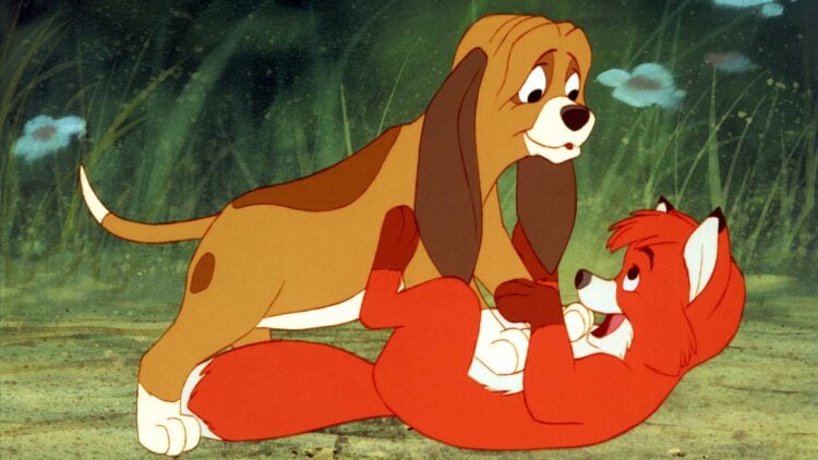The Fox and the Hound