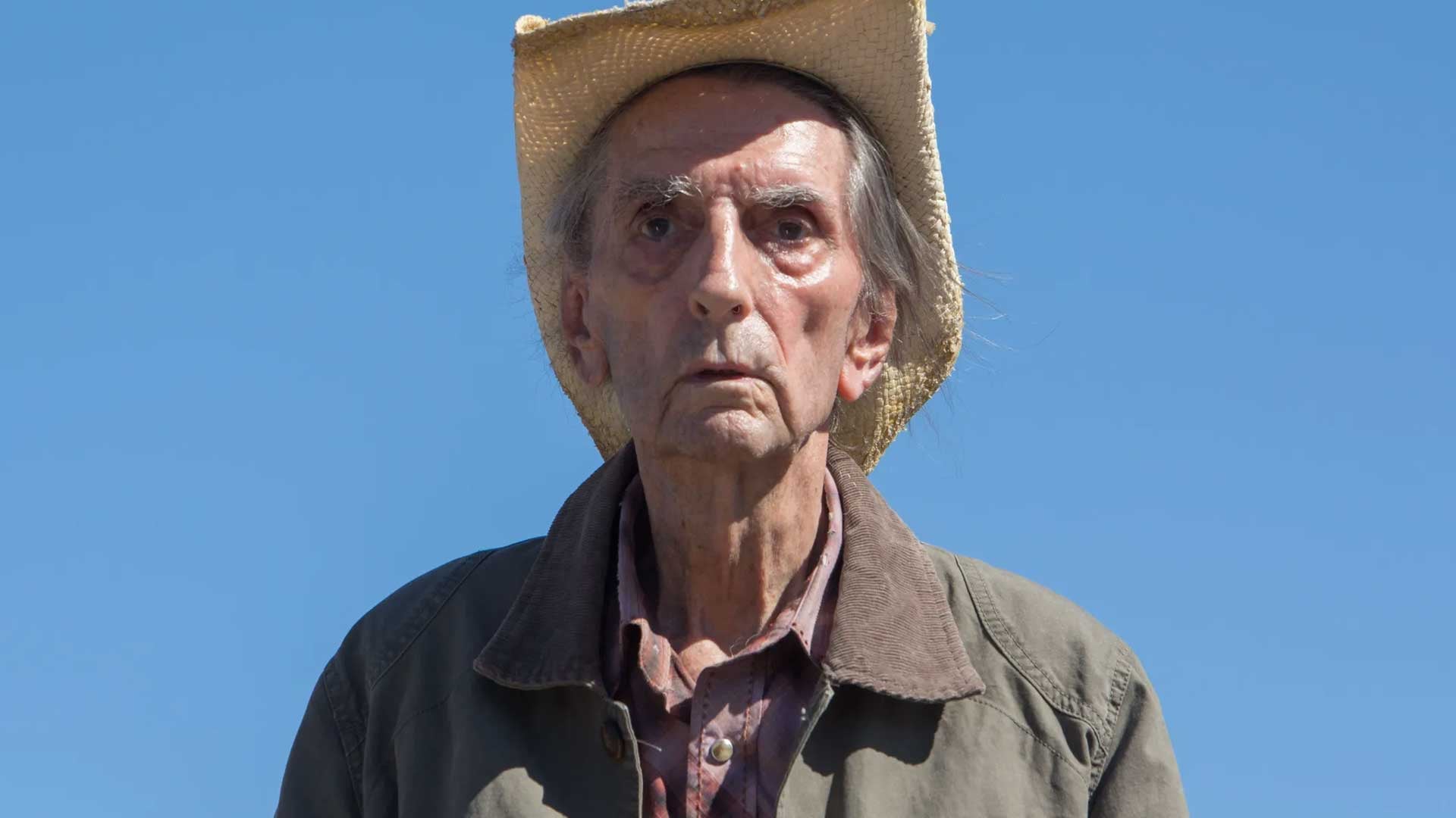 Harry-Dean-Stanton