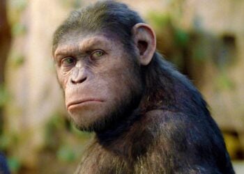 Rise of the Planet of the Apes 15th Anniversary