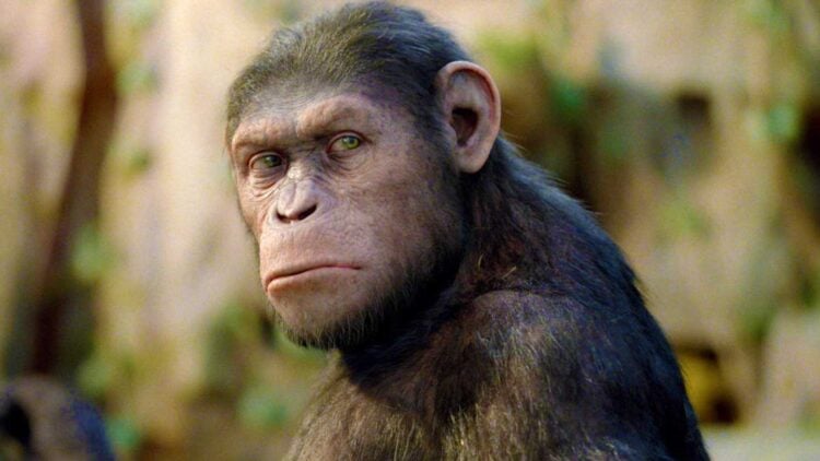 Rise of the Planet of the Apes 15th Anniversary