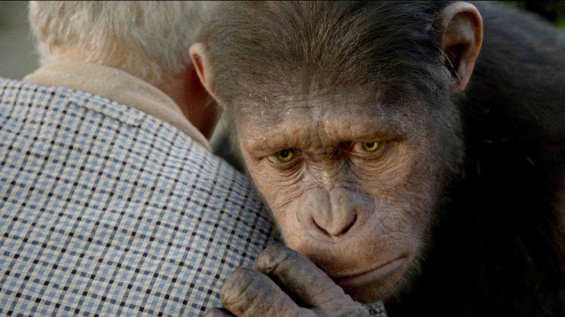 Rise of the Planet of the Apes 2011