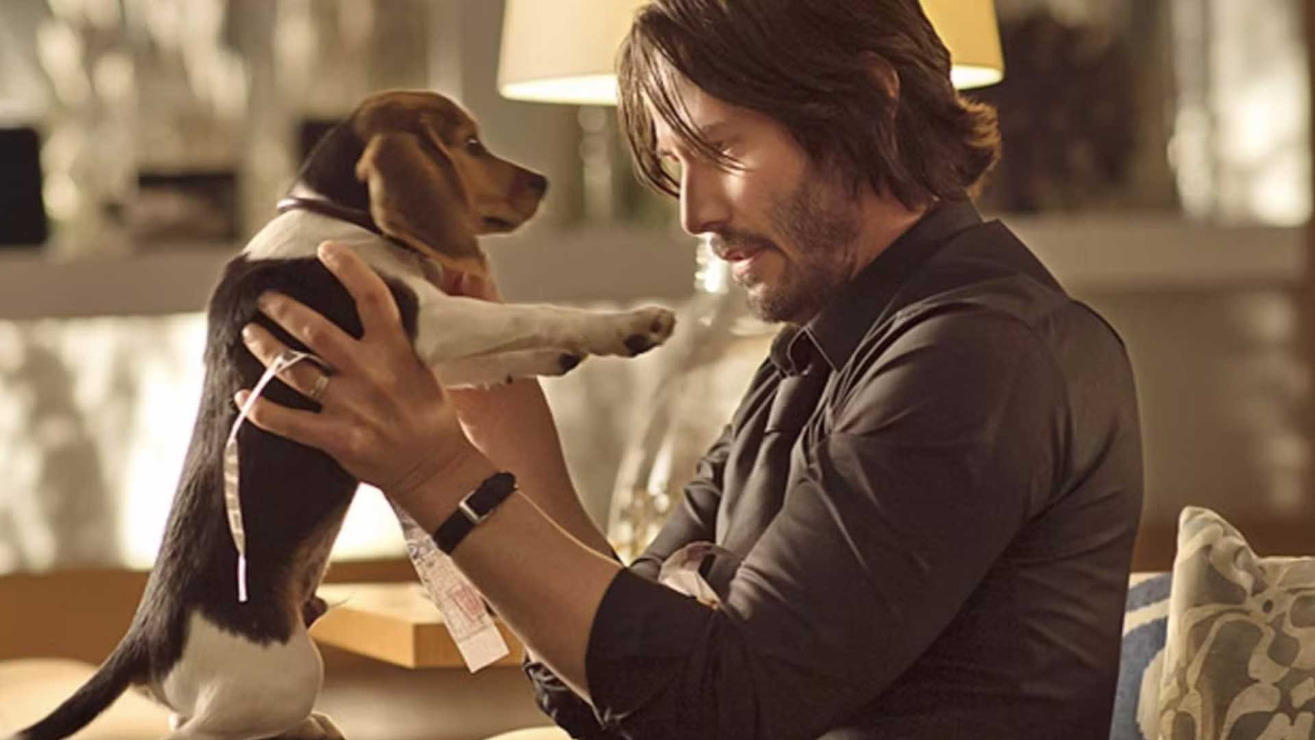 john-wick-dog