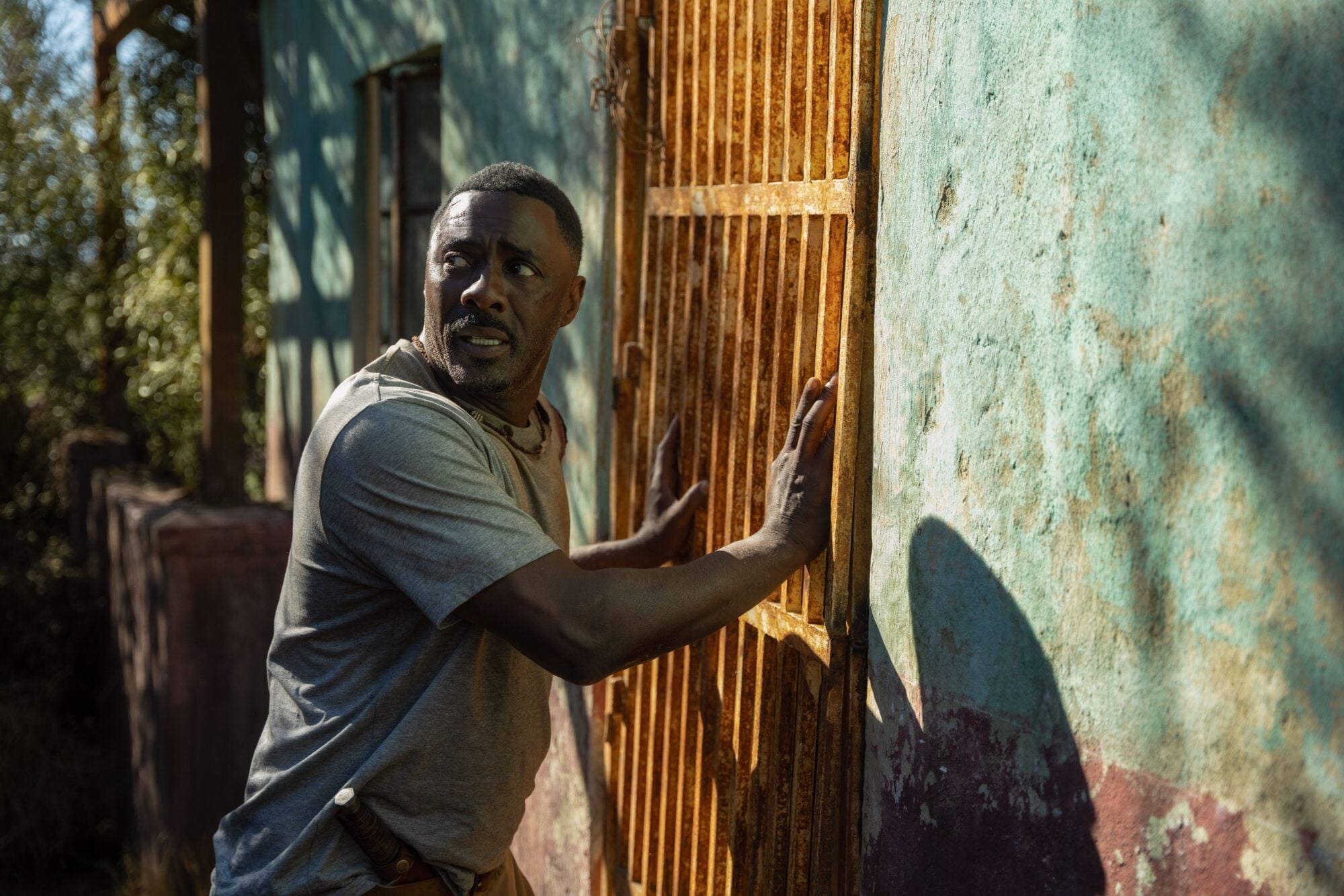 Beast Idris Elba